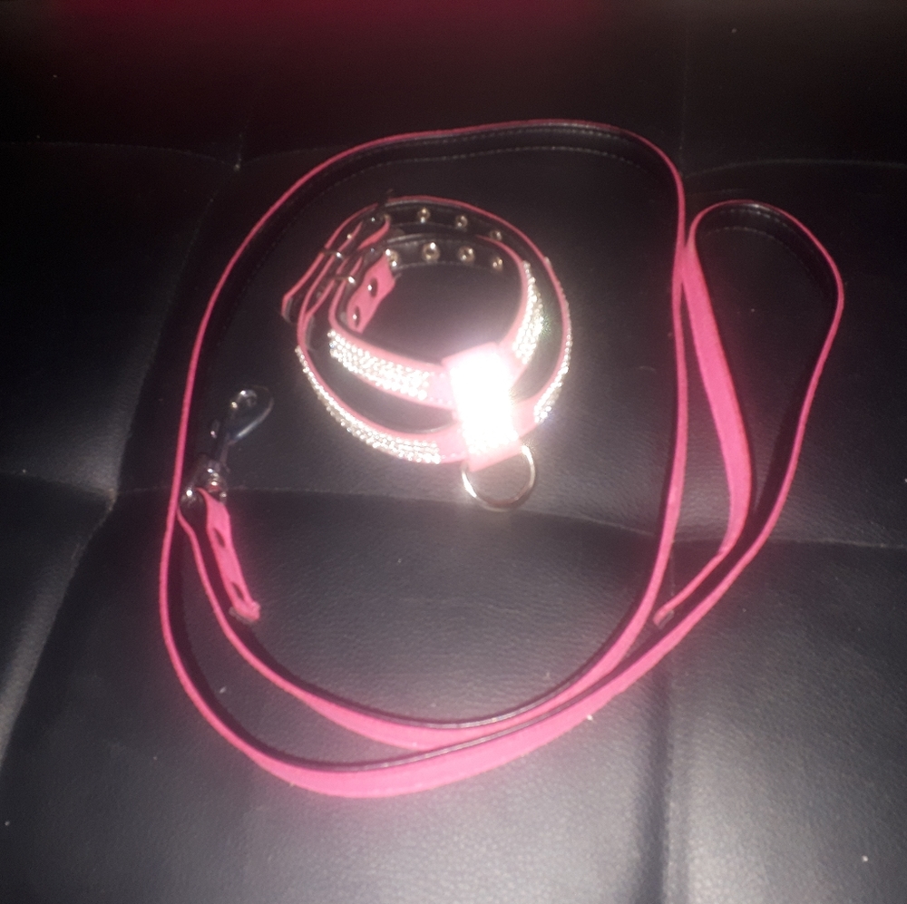 Cat/dog halter/leash